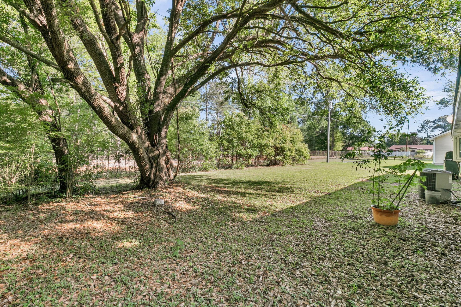 104 Dahlia Place Photo 24