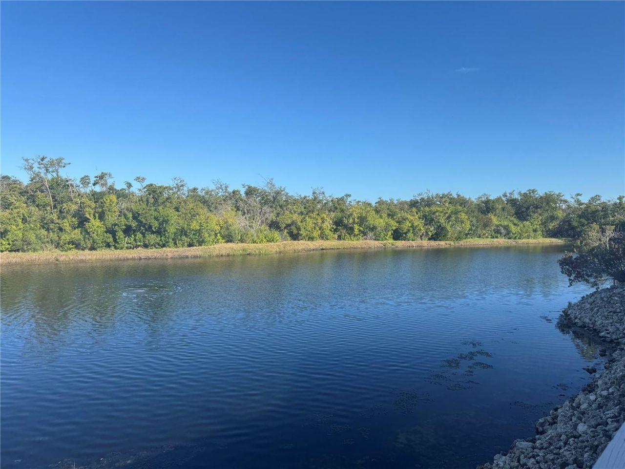 1288 Spoonbill Landings Circle, Bradenton, FL 34209 Photo