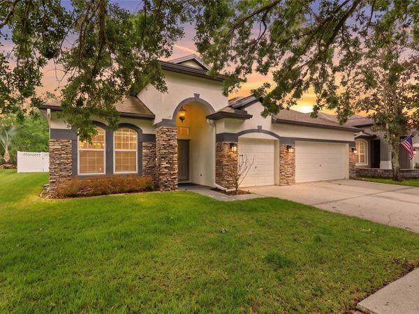 5832 HERONVIEW CRESCENT DRIVE , LITHIA, FL 33547