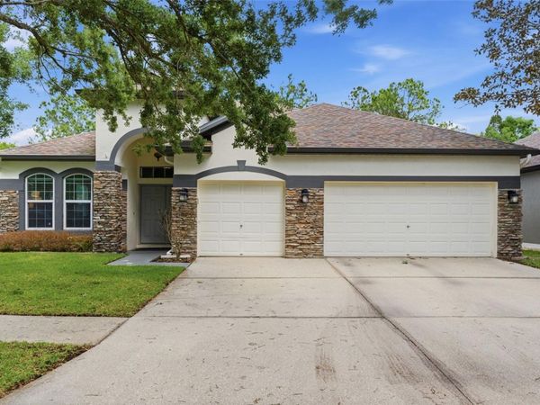 5832 HERONVIEW CRESCENT DRIVE, LITHIA, FL 33547