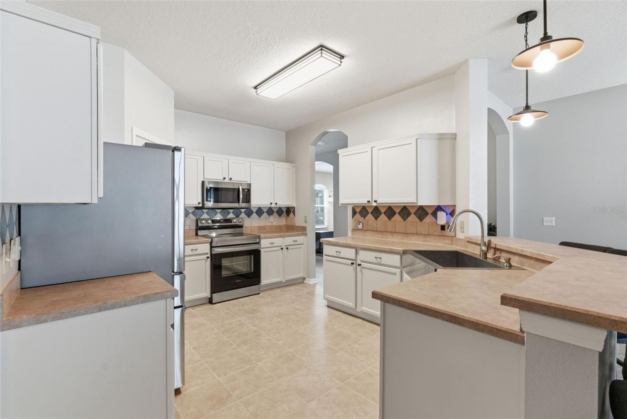 5832 Heronview Crescent Drive, Lithia, FL 33547 Photo