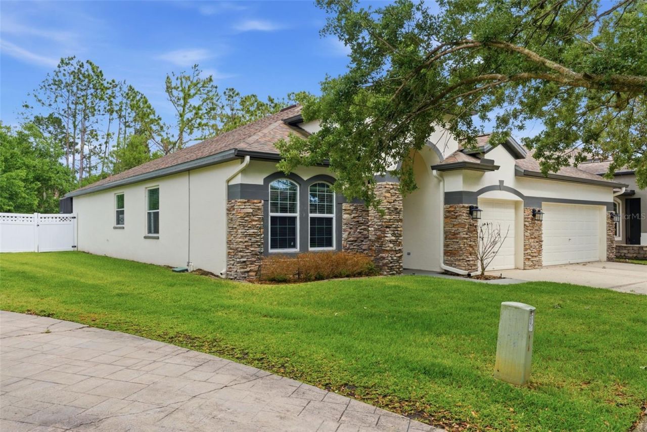 5832 Heronview Crescent Drive, Lithia, FL 33547 Photo