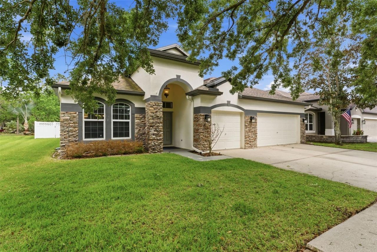 5832 Heronview Crescent Drive, Lithia, FL 33547 Photo