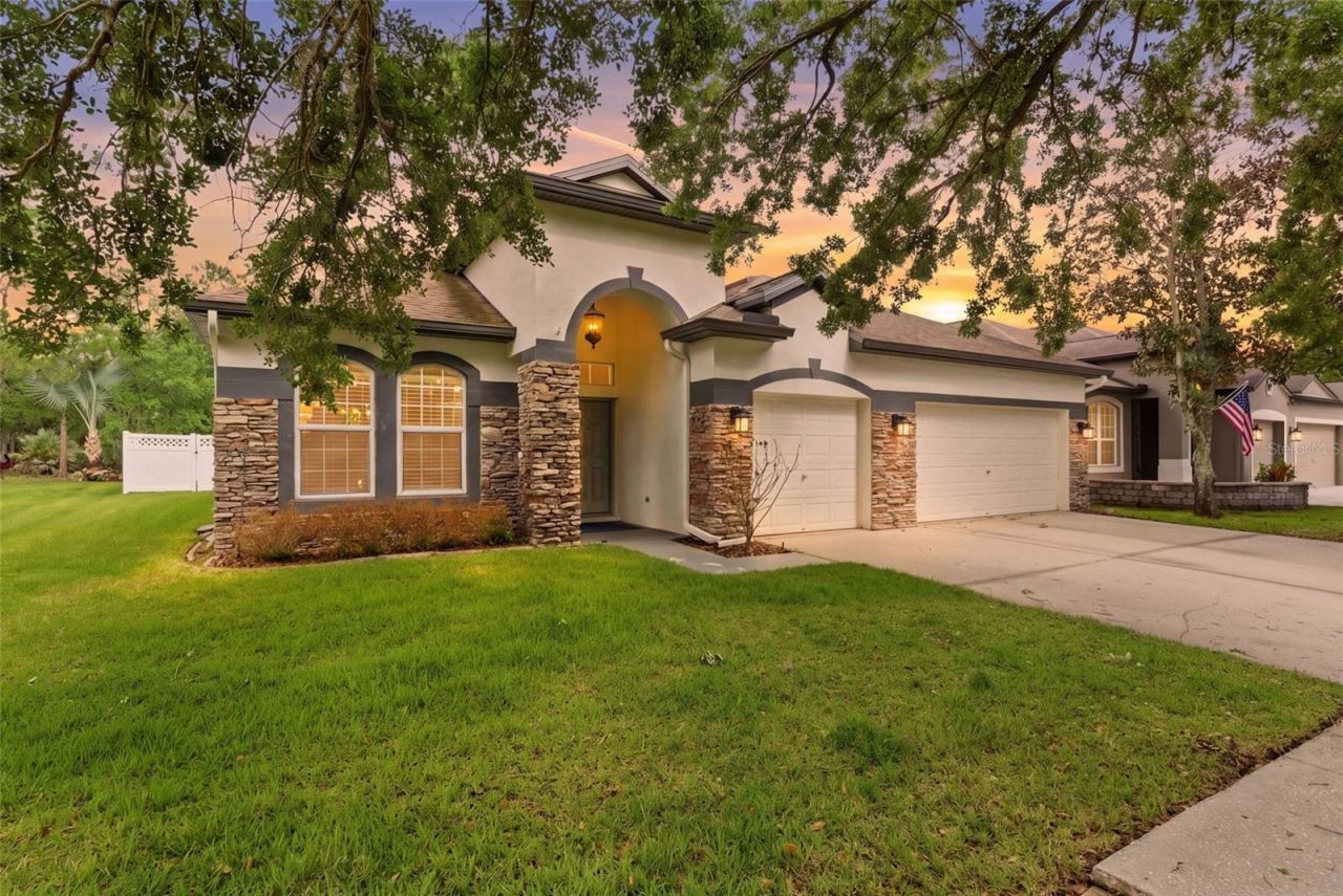 5832 Heronview Crescent Drive, Lithia, FL 33547 Photo