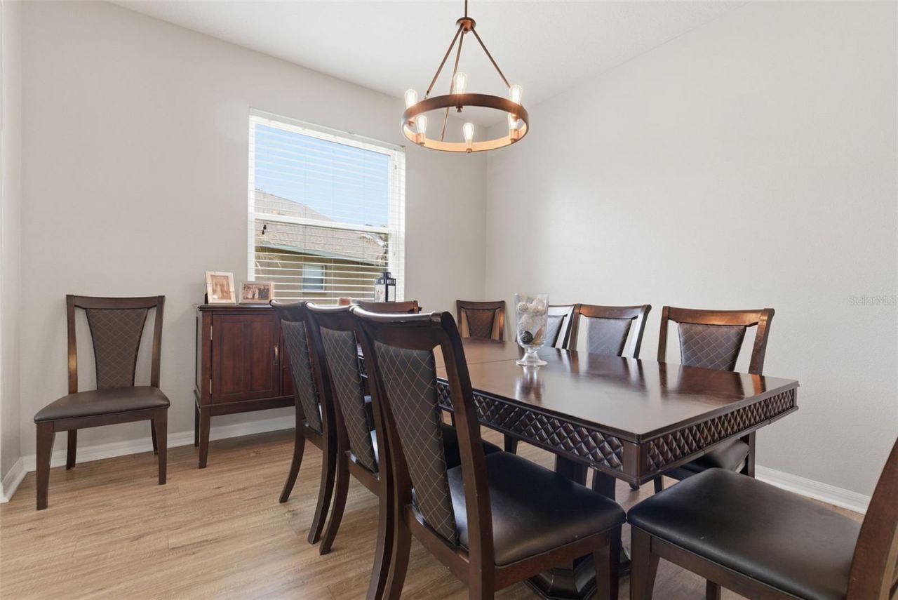 5832 Heronview Crescent Drive, Lithia, FL 33547 Photo