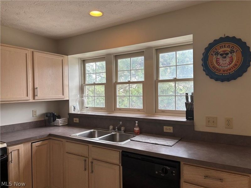 1944 E 82nd Street, Cleveland, OH 44103 Photo 5