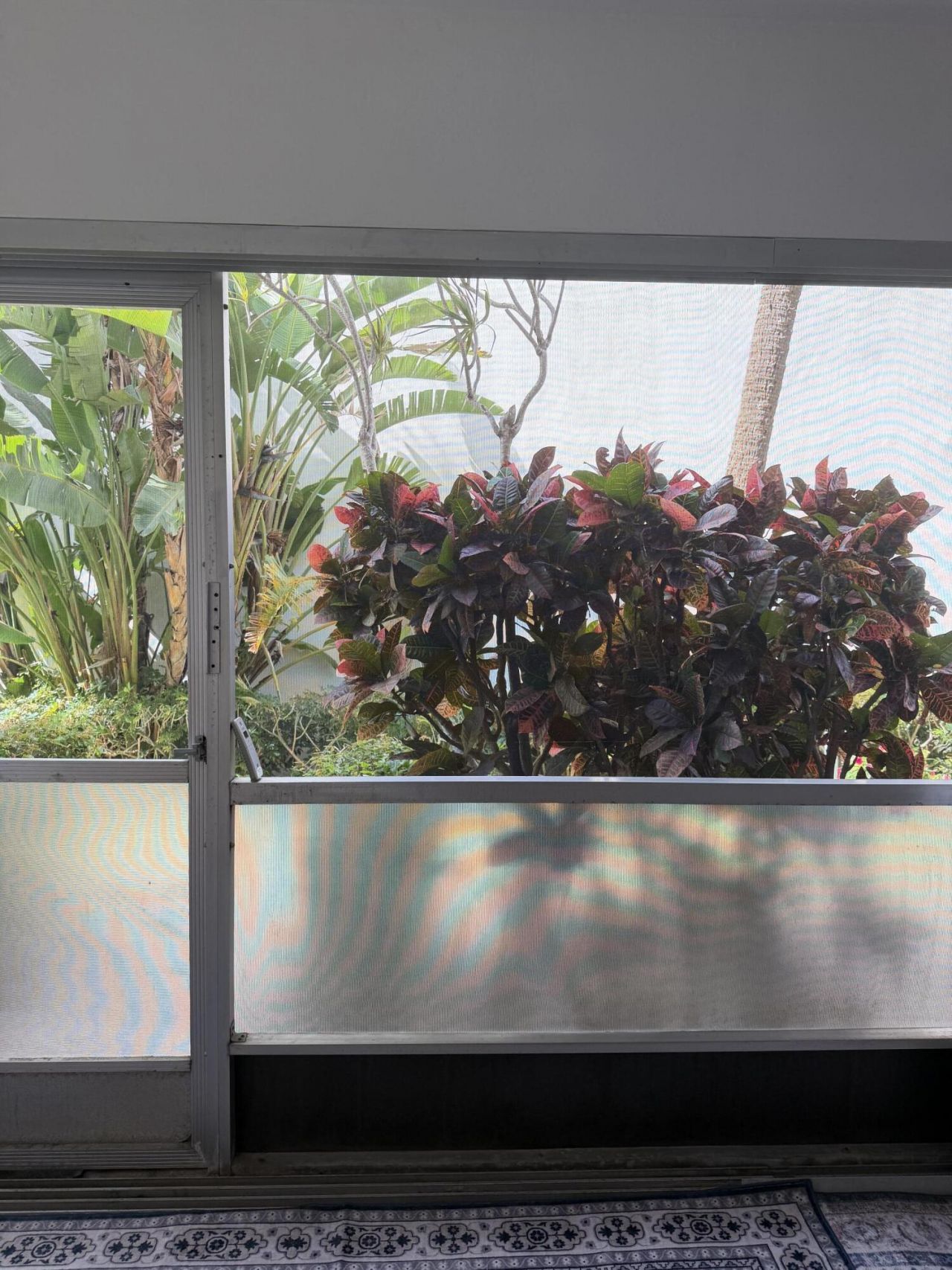 2050 NE 39th Street Ne, Unit S103, Lighthouse Point, FL 33064 Photo