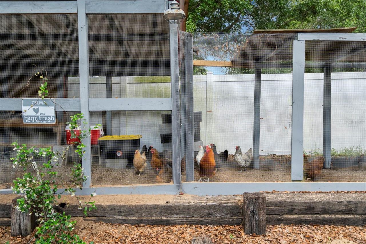 6702 Josie Drive, Seffner, FL 33584 Photo