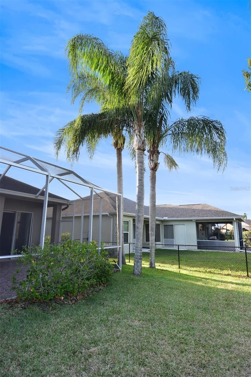 1632 Bayfield Court, Trinity, FL 34655 Photo