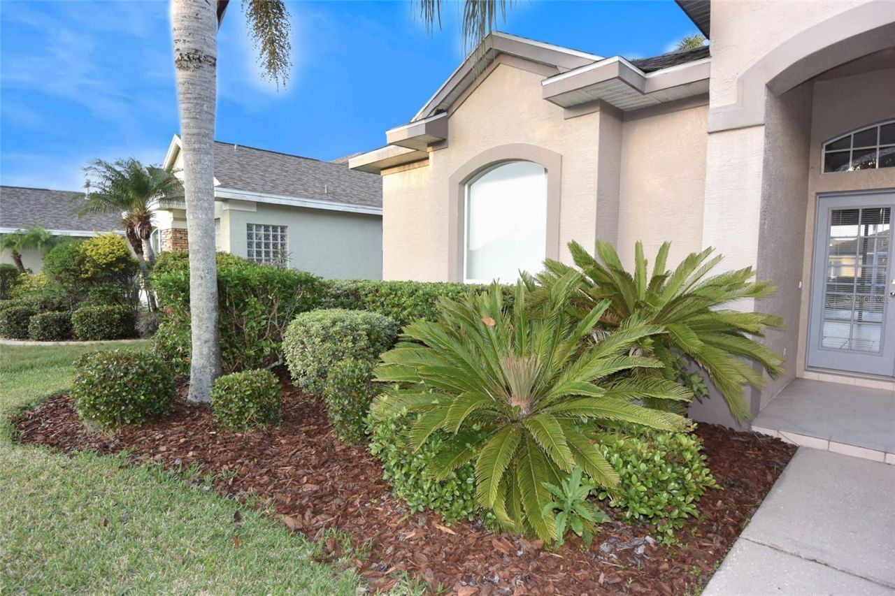 1632 Bayfield Court, Trinity, FL 34655 Photo