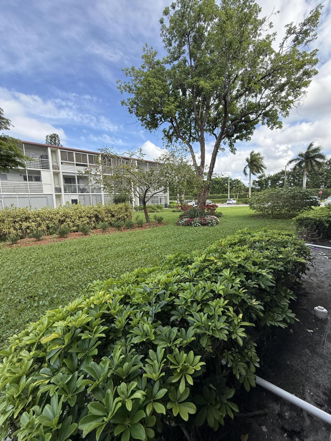 389 Fanshaw, Unit 389, Boca Raton, FL 33434 Photo