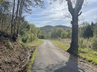 9999 Eastridge Branch Road, Barbourville, KY 40906