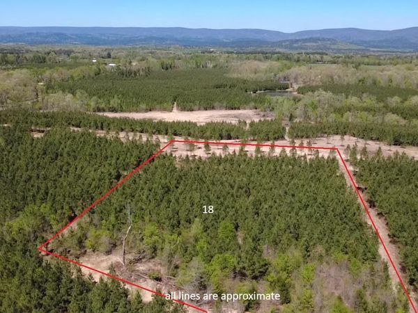 Tract 18 Avalon Lake Lane, Mena, AR 71953