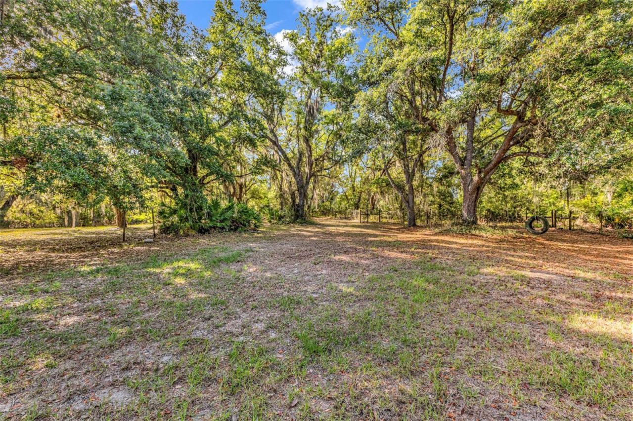 3309 SW Gopher Trail, Arcadia, FL 34266 Photo