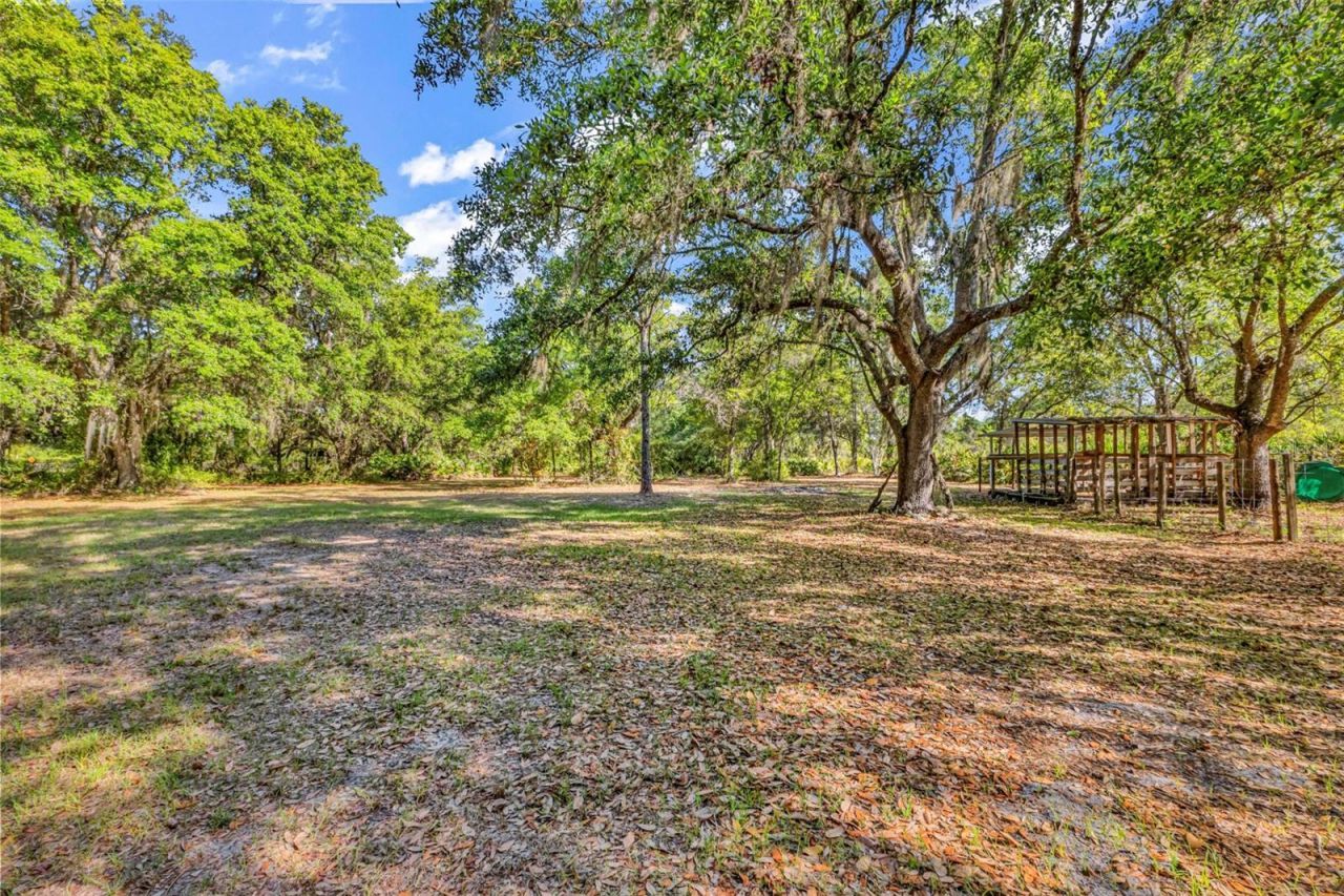 3309 SW Gopher Trail, Arcadia, FL 34266 Photo