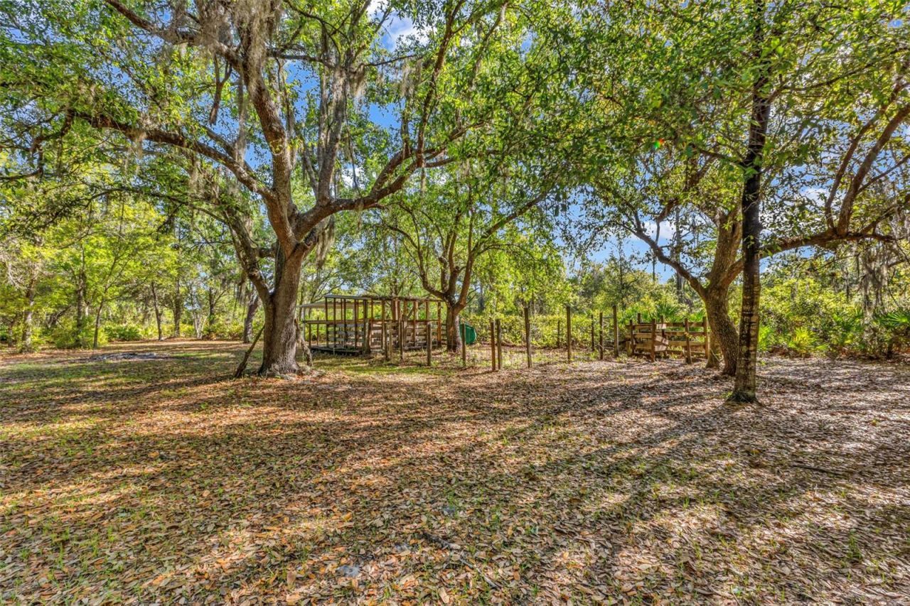3309 SW Gopher Trail, Arcadia, FL 34266 Photo