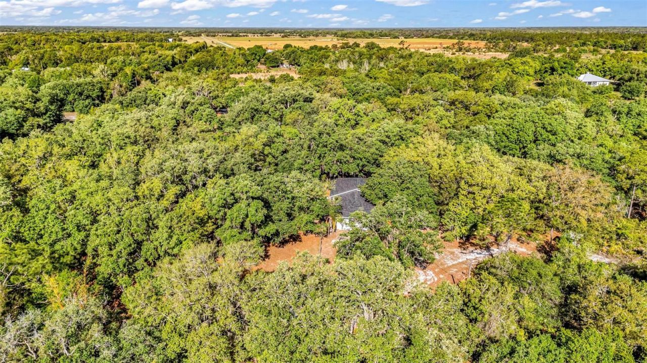 3309 SW Gopher Trail, Arcadia, FL 34266 Photo