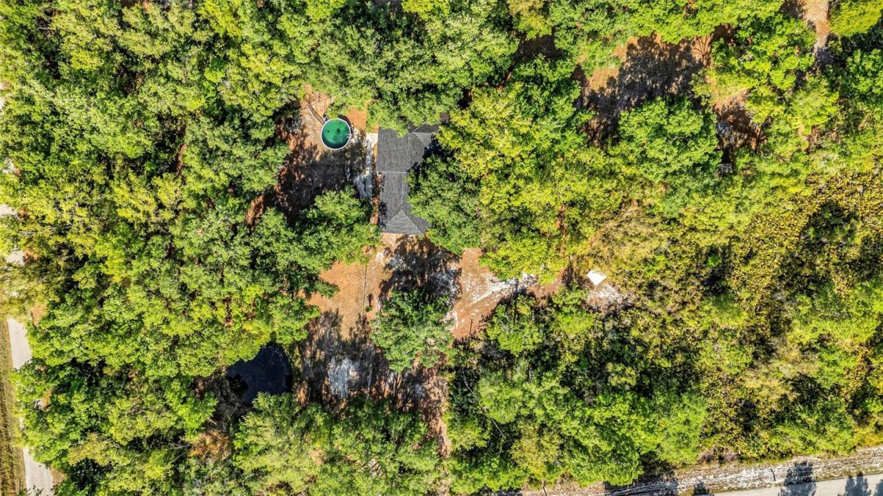 3309 SW Gopher Trail, Arcadia, FL 34266 Photo