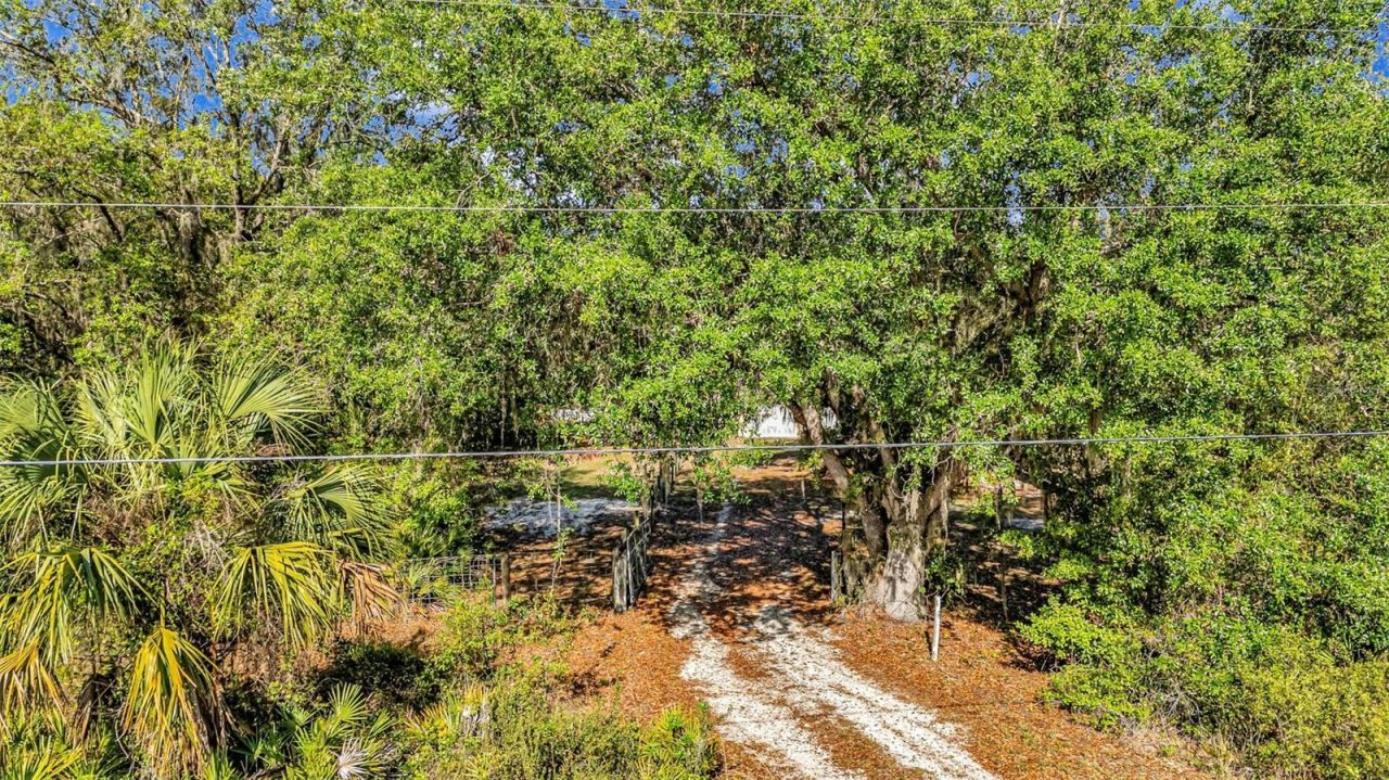 3309 SW Gopher Trail, Arcadia, FL 34266 Photo