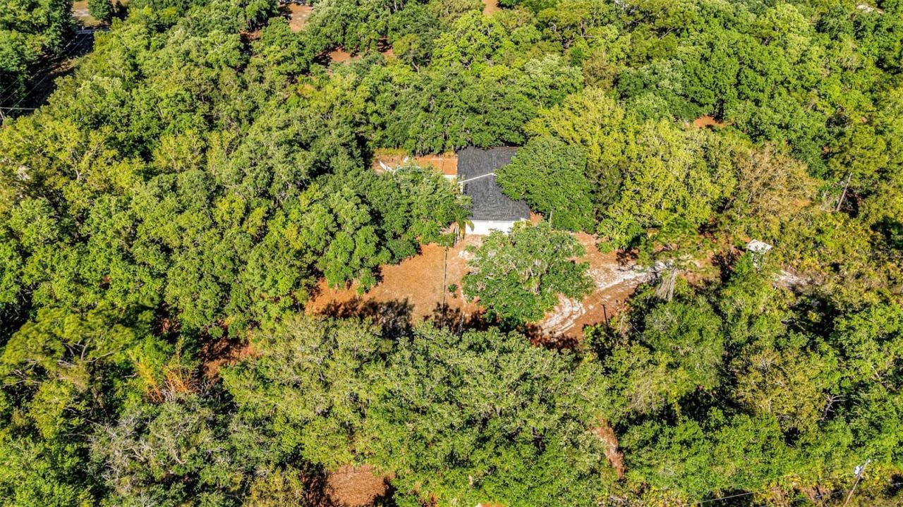 3309 SW Gopher Trail, Arcadia, FL 34266 Photo