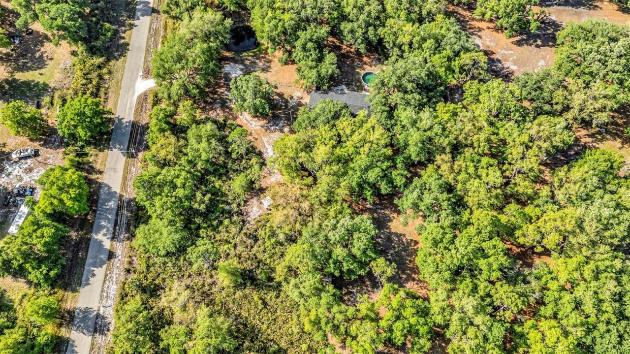 3309 SW Gopher Trail, Arcadia, FL 34266 Photo