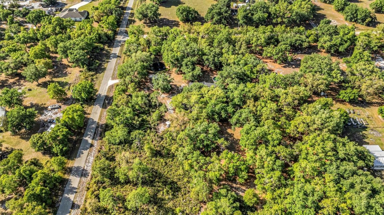 3309 SW Gopher Trail, Arcadia, FL 34266 Photo