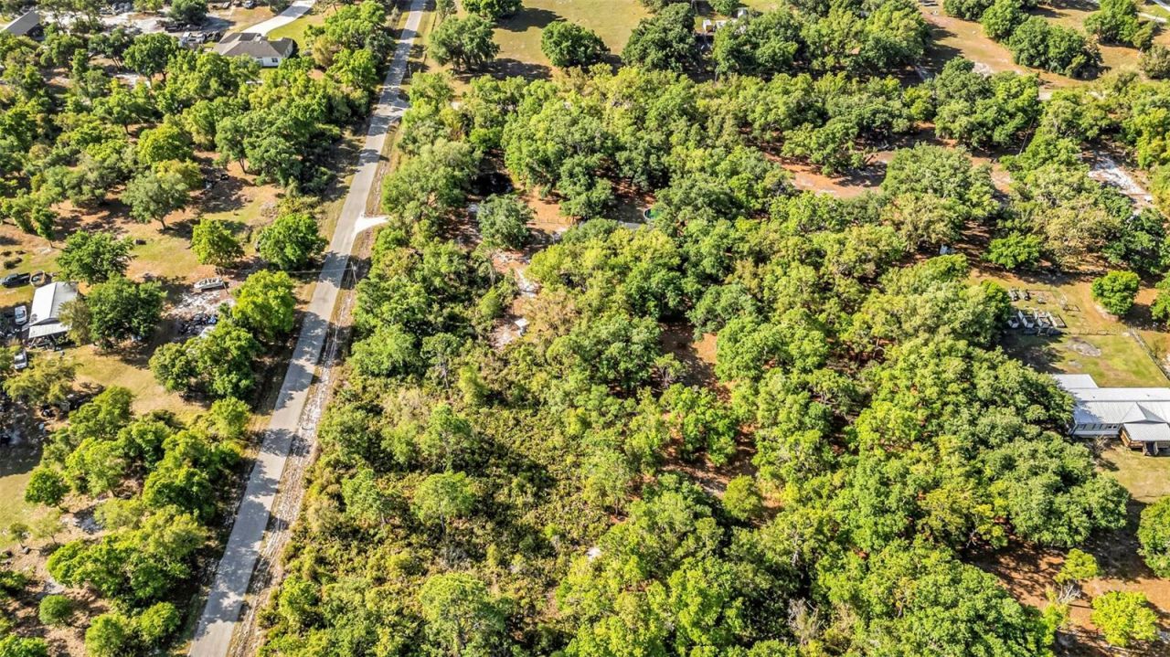 3309 SW Gopher Trail, Arcadia, FL 34266 Photo