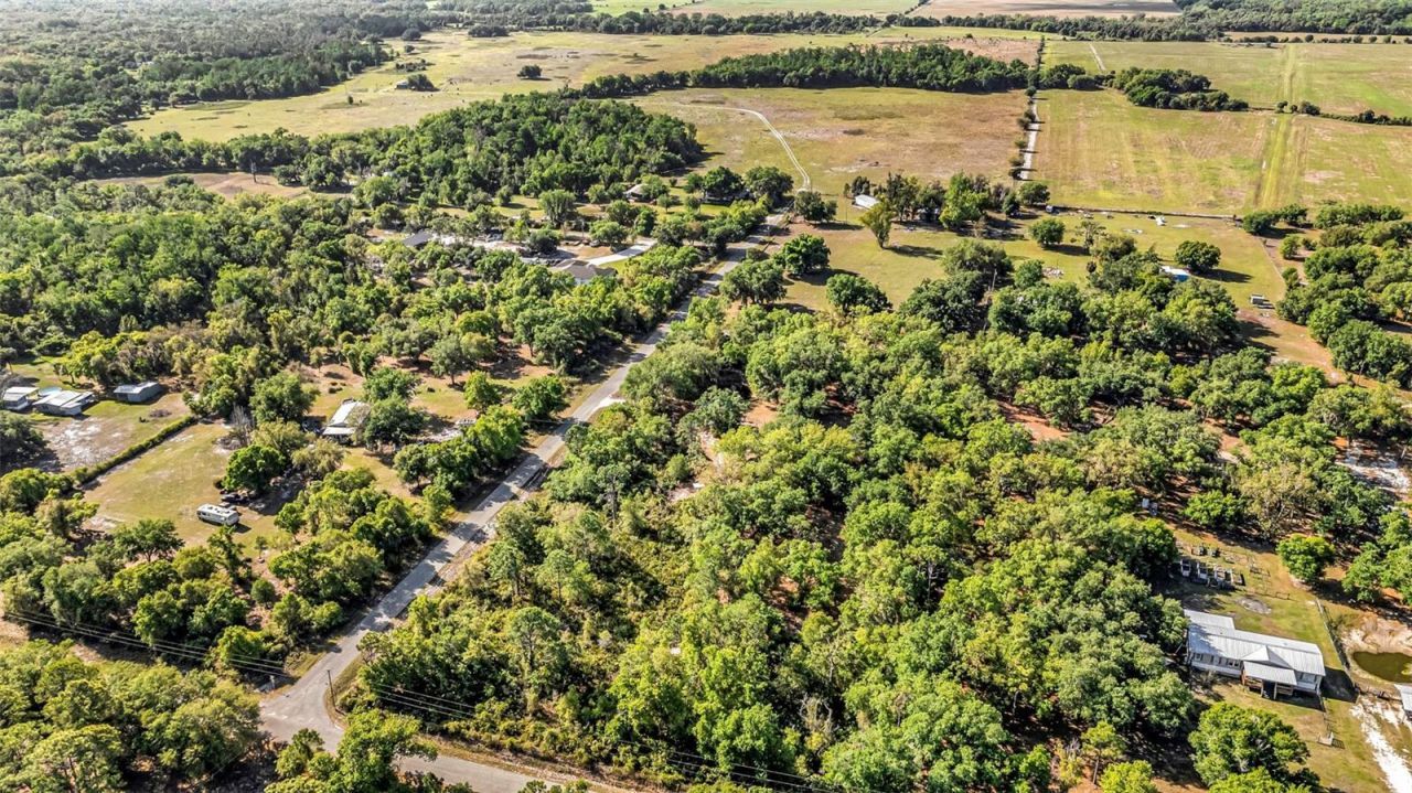 3309 SW Gopher Trail, Arcadia, FL 34266 Photo