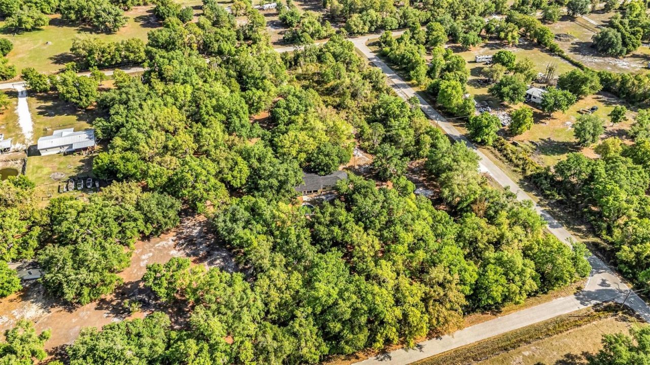 3309 SW Gopher Trail, Arcadia, FL 34266 Photo