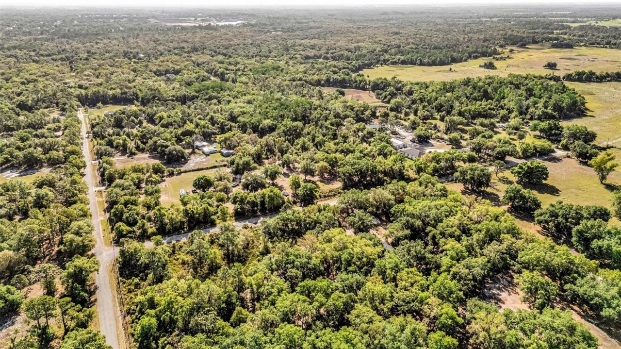 3309 SW Gopher Trail, Arcadia, FL 34266 Photo