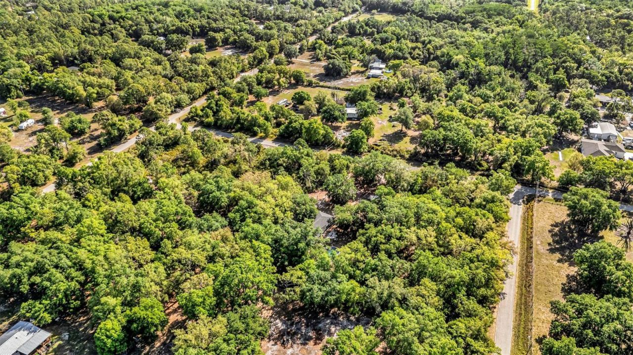 3309 SW Gopher Trail, Arcadia, FL 34266 Photo