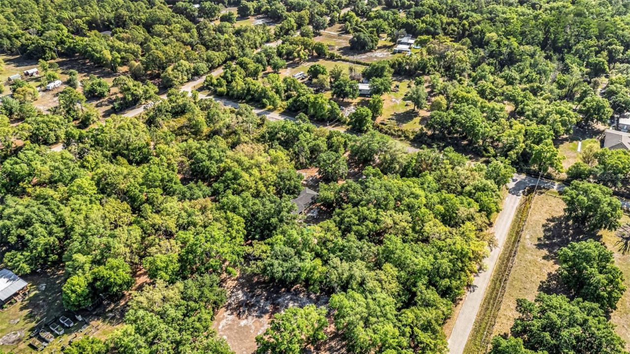 3309 SW Gopher Trail, Arcadia, FL 34266 Photo