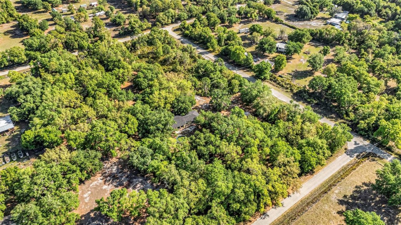 3309 SW Gopher Trail, Arcadia, FL 34266 Photo