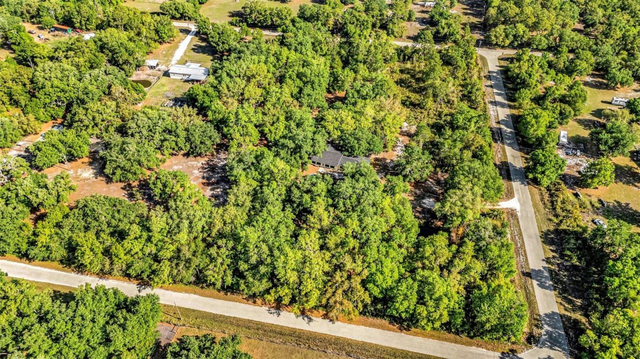 3309 SW Gopher Trail, Arcadia, FL 34266 Photo