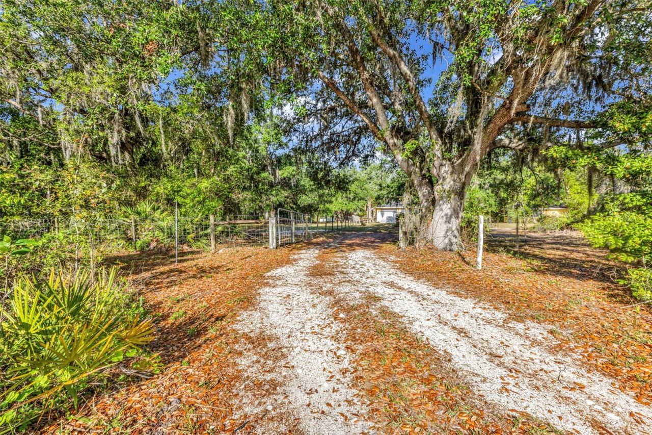 3309 SW Gopher Trail, Arcadia, FL 34266 Photo