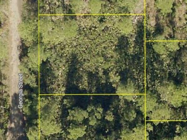 GEORGIA STREET , PAISLEY, FL 32767