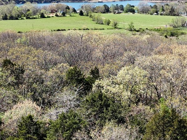 Lot #34 Coral Fountains, Golden, MO 65658