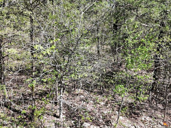 Lot #20 Oak Lane, Shell Knob, MO 65747