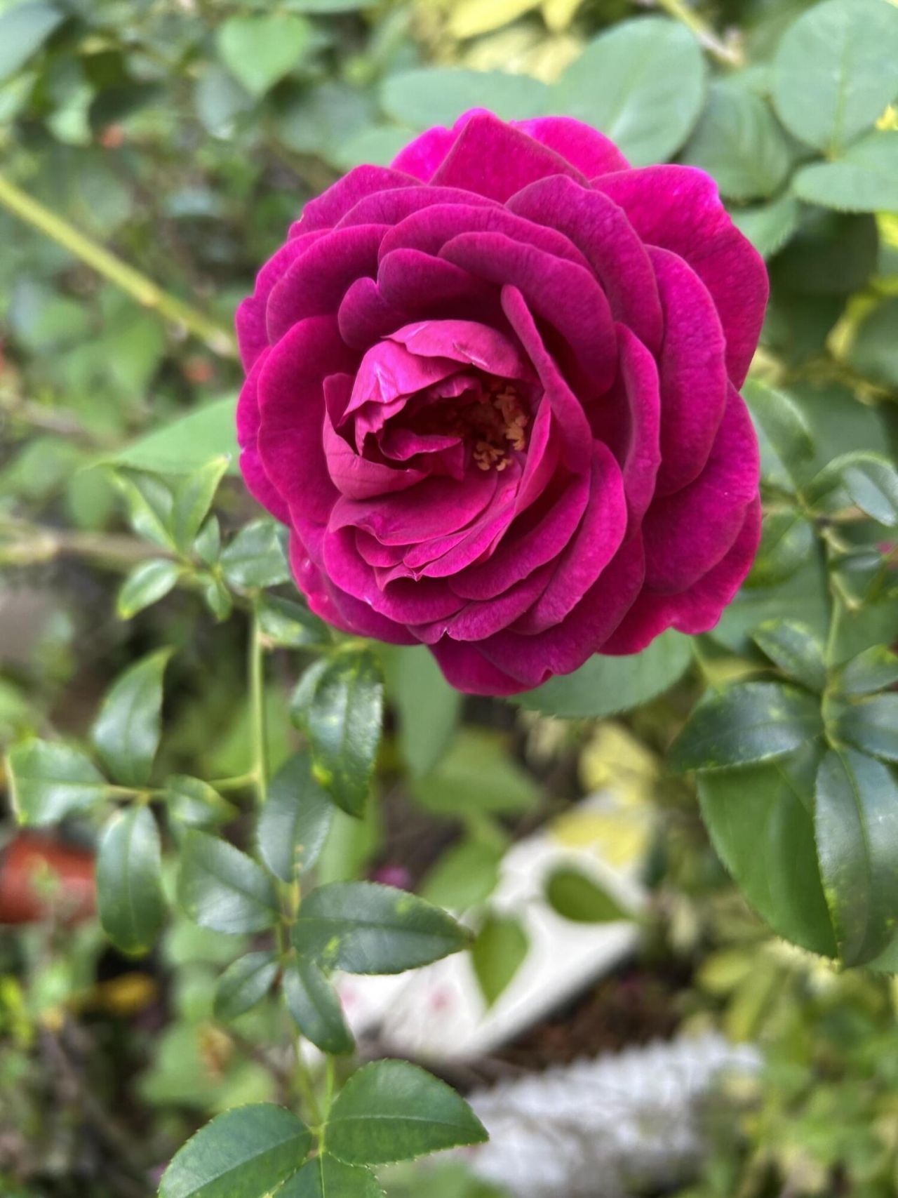 6220 Kelty Way, Lake Worth, FL 33467 Photo