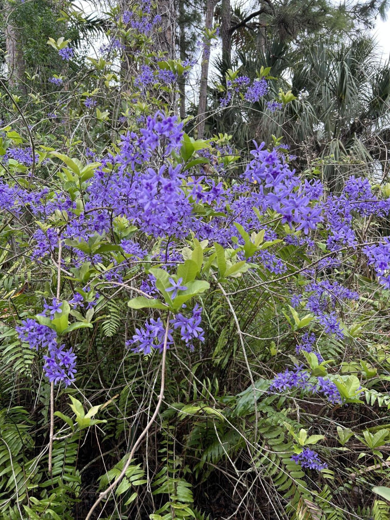 6220 Kelty Way, Lake Worth, FL 33467 Photo