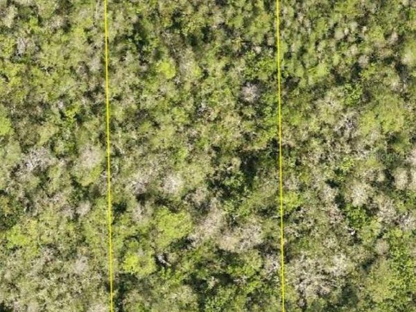 NO STREET , DELAND, FL 32724