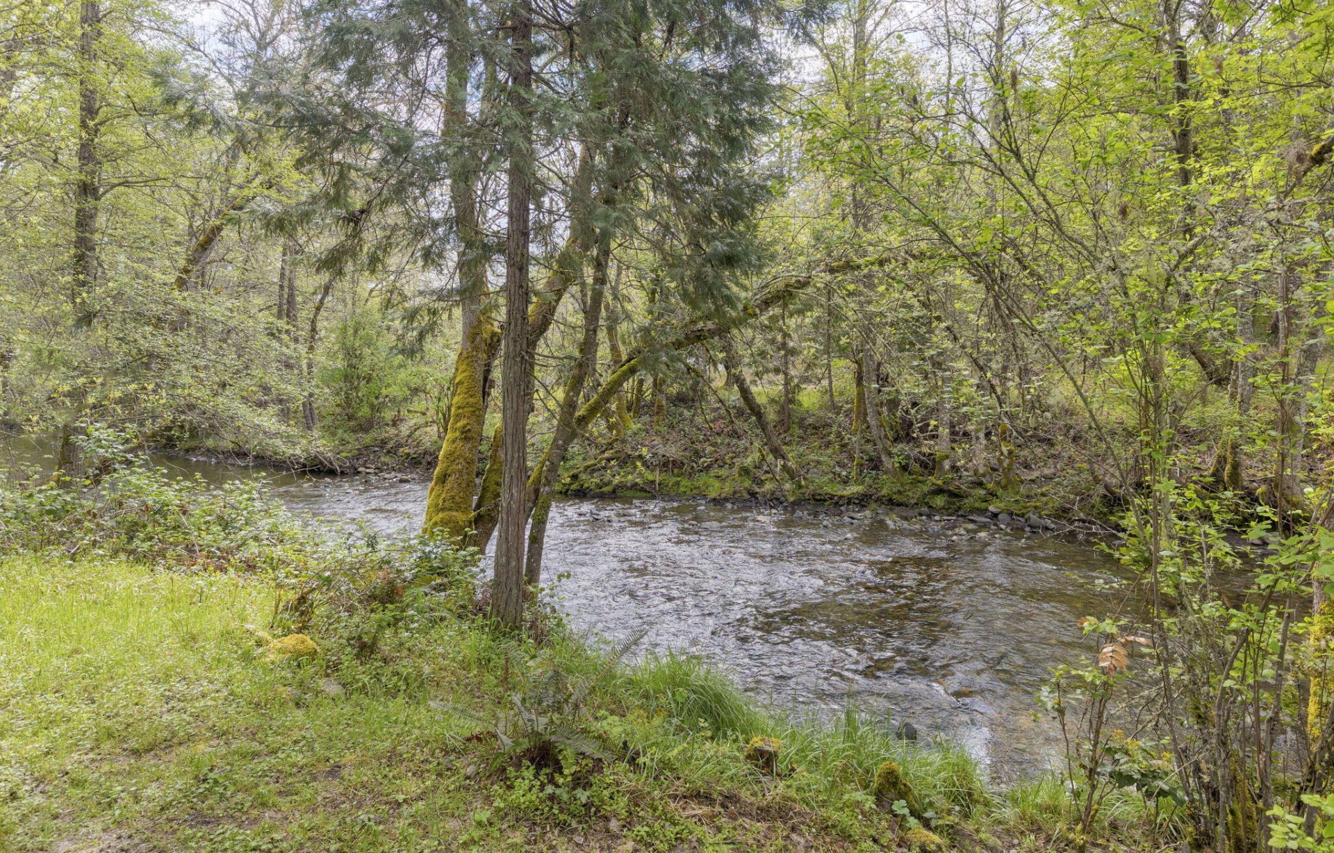 1625 Cedar Flat Road, Williams, OR 97544 Main Photo