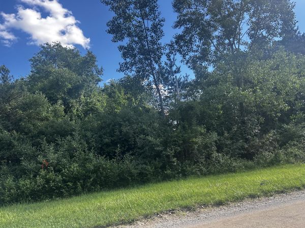 W Ranger Road, Unit 119 lot, Perrinton, MI 48871