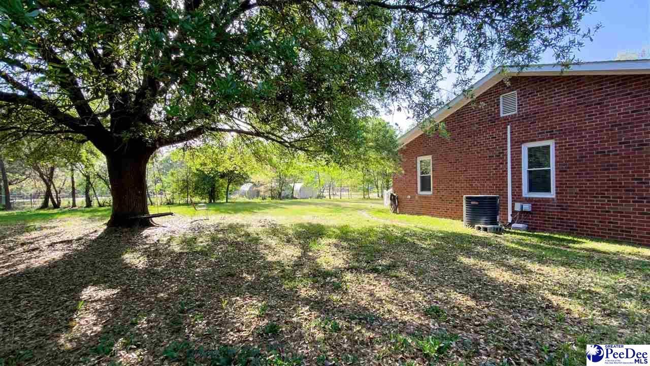 113 Dudley Drive Photo 31