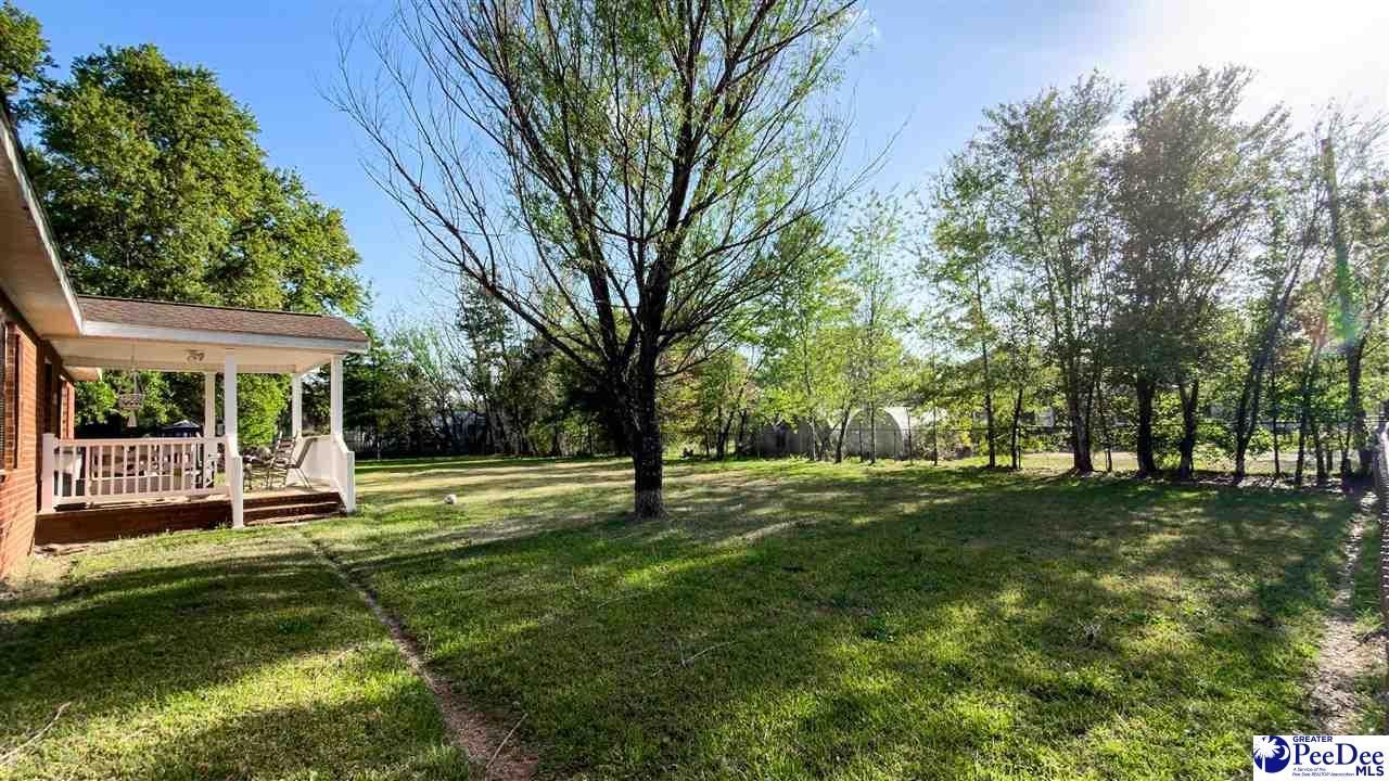 113 Dudley Drive Photo 33