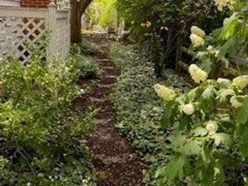 347 Colgate Avenue , Elyria, OH 44035 Photo 47