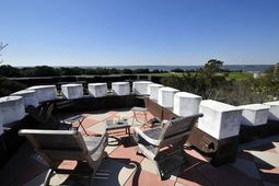 1401 Middle Street photo 4