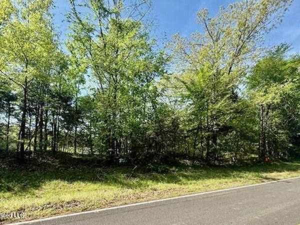 10832 Woolsey Road, Olive Branch, MS 38654