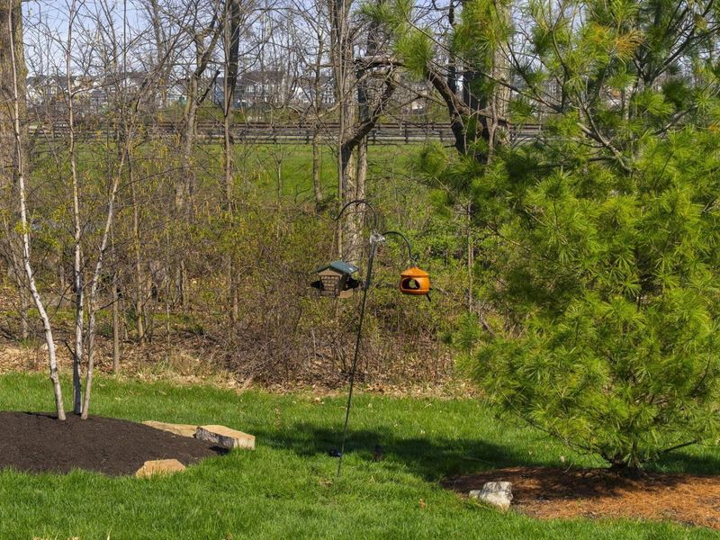 11488 Canby Court, Plain City, OH 43064 Photo 58