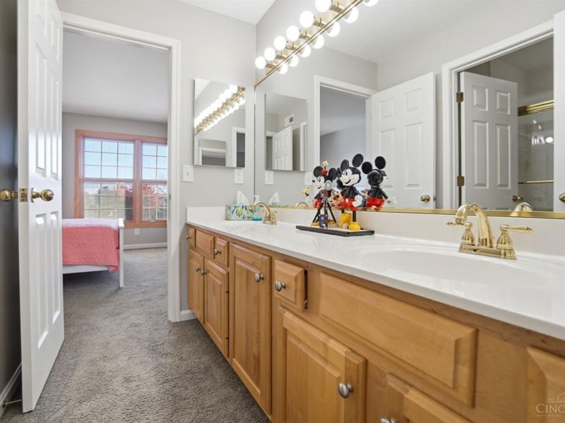 3667 Carpenters Green Lane, Blue Ash, OH 45241 Photo 41